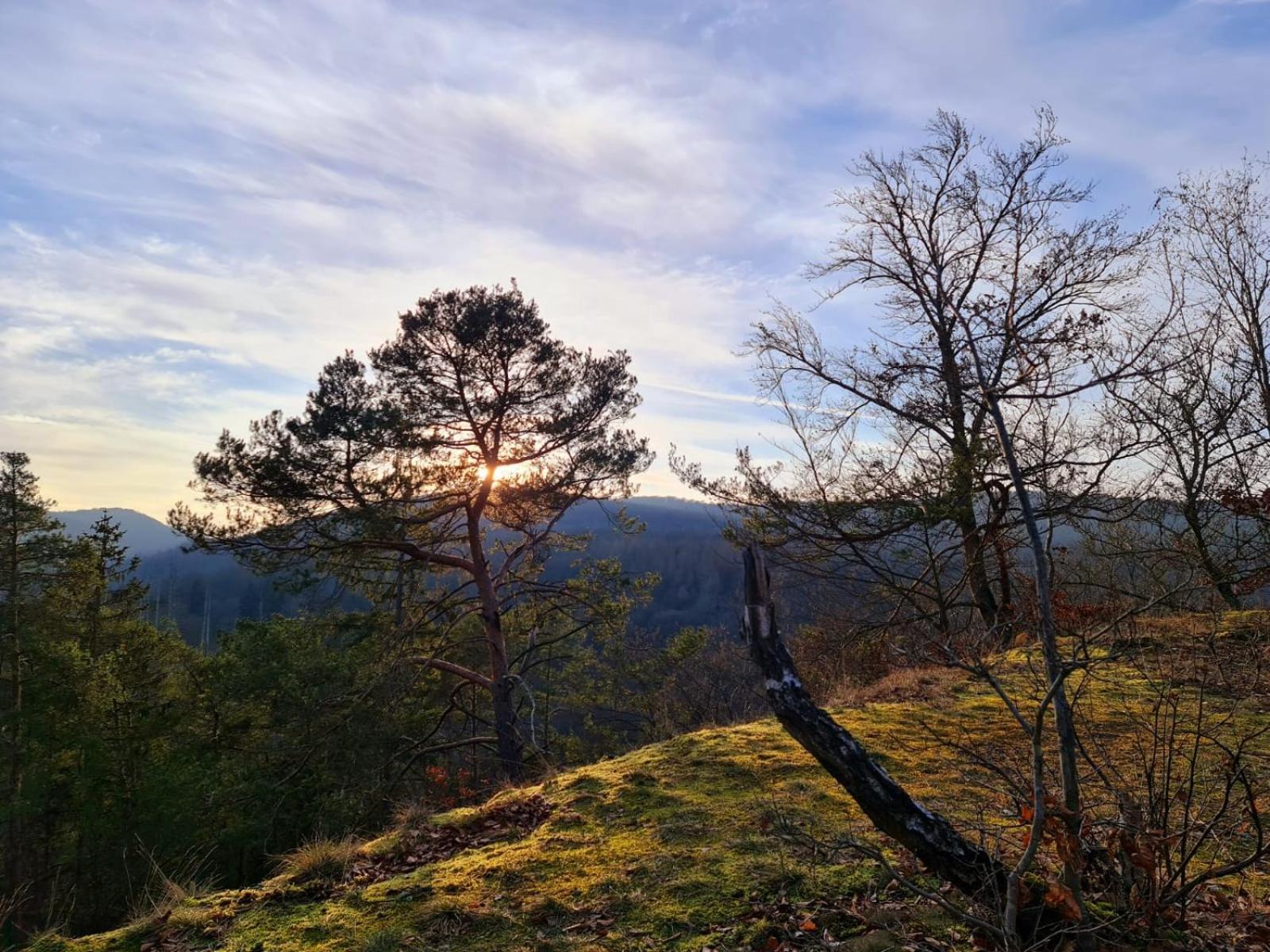 Ferienhaus Schoene Aussicht Ferienwohnung Gruen Hemfurth-Edersee Dış mekan fotoğraf